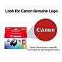 Canon PG-295XL/CL-286XL Black/Tri-Color High Yield Ink Cartridge and Paper Bundle, 2/Pack (7164C005)~#|#~D1BA49A9-0AB8-4FB7-A283258E8BAB336E_sc7