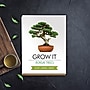 Gift Republic Bonsai Tree Grow Kit (GR200067)~#|#~D22AFEA9-81B2-419E-B7622C94742AF64B_sc7