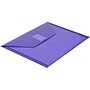 JAM Paper Premium Plastic Document File, Purple, 3/Pack (920V0PUX3)~#|#~D24F0197-1F6C-4BF3-844490D08CDB02DC_sc7