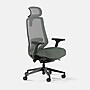 Branch Mesh Fabric Ergonomic Chair Pro Headrest, Everglade/Black (13-45-00-27-V2)~#|#~D25AE118-1F3D-463E-BEA7FB7B7A666179_sc7