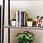 Mind Reader Metal Terrarium Bookends, 6.25", Black (GLBOOK2-BLK)~#|#~D28D7DA3-8D07-4A54-9D070085DC2328CC_sc7