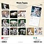 2026 BrownTrout White Tigers 12" x 12" Monthly Wall Calendar (9798330706341)~#|#~D2EC46AF-F79B-4F0D-8454A1843F686194_sc7