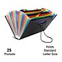 Staples Plastic Accordion File, 25-Pocket, Letter Size, Multicolor (TR45523)~#|#~D314E230-F68F-4CCA-9F7982F4836523D7_sc7