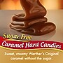 Werther's Original Sugar Free Caramel Hard Candy, 2.75 oz. (SUL831498)~#|#~D31DD3AC-DB75-4BD0-B0F38197B4481E29_sc7