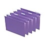 Staples Hanging File Folders, Letter, 1/5-Cut Tab, Letter Size, Purple, 25/Box (ST419200-CC)~#|#~D3337278-303A-467D-8CF8B15B915F5B1E_sc7