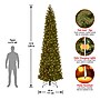 National Tree Company 12' Pre-Lit Downswept Douglas Fir Pencil Slim Artificial Christmas Tree~#|#~D38CA831-3149-4696-886CE624FF8AEC31_sc7