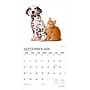 2026 Plato Kittens & Puppies 12" x 12" Monthly Wall Calendar (9798330706815)~#|#~D3B90E4A-3A46-497F-A25CEE636EB015B5_sc7