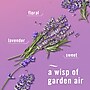 Febreze Plug In Air Freshener Scented Oil Refill, Twilight Lavender Scent, 3/Pack (11861/43671)~#|#~D3D61060-271C-4444-BA022EC9901F032D_sc7