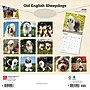 2026 BrownTrout Old English Sheepdogs 12" x 12" Monthly Wall Calendar (9798330704989)~#|#~D440F8D6-F3AE-4118-9DAC88D5CBF8D780_sc7