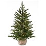 National Tree Company 3' Pre-Lit Nordic Spruce Artificial Christmas Tree (PENS1-333-30-1)~#|#~D4A600B6-A041-4796-B381EF1F09EB4503_sc7