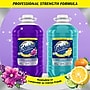 Fabuloso Professional All-Purpose Glass & Surface Cleaner Degreaser Bottle, Lavender Scent, 125 oz. (61051910)~#|#~D4B6AB69-8B51-4B3A-9C40A0FA4898C924_sc7