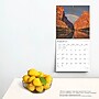 2025 BrownTrout Texas Nature 12" x 12" Monthly Wall Calendar (9781975475772)~#|#~D503DB13-DF2B-4EDF-B9A79E6155607291_sc7