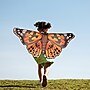 Insect Lore Dress-Up Painted Lady Butterfly Wings, Multicolored (ILP4800)~#|#~D5CD9F93-D311-48D8-BD3EB693AD952953_sc7