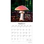 2026 Brush Dance Magic Mushrooms 12" x 12" Monthly Wall Calendar (9798330706570)~#|#~D5DE7786-B3F4-40A7-9276CC18FE676D2C_sc7