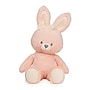 GUND Sustainable Bunny Plush, Pink/Cream (6066016)~#|#~D61662DE-9551-44D8-8C91A00958C0D888_sc7
