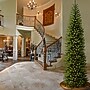 National Tree Company 12' Kingswood Fir Artificial Christmas Tree (KW7-500-120)~#|#~D68823E4-BFDF-423F-8924C9D97728464F_sc7