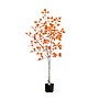 Nearly Natural 5' Autumn Paper Birch Artificial Fall Tree (T4746)~#|#~D6C47A0F-F652-4990-88825FCE585412D9_sc7