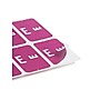 Smead AlphaZ ACCS Color-Coded Alphabetic Labels, E, Purple with White Lettering, 100/Pack (67175)~#|#~D70EACCC-0B9D-49B2-AB6C7D7CBCBBC47D_sc7