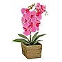 National Tree Company 21" Pink Orchid Flower in Wood Box (MT81-PH0354PPK)~#|#~D7198E56-D33D-4249-A45B86CE3A3BD052_sc7