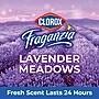 CloroxPro Fraganzia Multi-Purpose Cleaner, Lavender Meadows Scent, 175 oz. (60614)~#|#~D73FCECF-1B41-4785-BEB69CC5A21AE04F_sc7