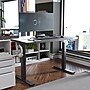 FlexiSpot E2 48''W Electric Adjustable Standing Desk, Black (E2B4824B)~#|#~D77C6894-BCE6-4FCA-B94E709054694C2B_sc7