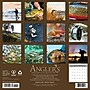 2027 Willow Creek Angler's 12" x 12" Monthly Wall Calendar, Assorted Colors (58770)~#|#~D7800B67-E8B0-4824-81A0F2C95E83FB1E_sc7
