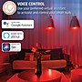 Energizer Connect Wi-Fi 60W Equivalent LED Smart Bulb, Multi-White & Multicolor, 2-Pack (EAC2-1003-RGB)~#|#~D81513EA-E9FD-4C8B-B6CF791987D1DEE7_sc7