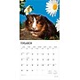 2026 BrownTrout Guinea Pigs 12" x 12" Monthly Wall Calendar (9798330703579)~#|#~D81B77C4-330A-4A44-9FE71C1A8E39214B_sc7
