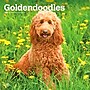 2027 BrownTrout Goldendoodles 12" x 12" Monthly Wall Calendar (9798330712489)~#|#~D823A207-2ED6-49D8-868DAFF86E35E1CC_sc7