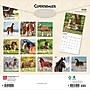 2026 BrownTrout Clydesdales 12" x 12" Monthly Wall Calendar (9798330702954)~#|#~D84D7D7E-FECF-4B11-8116FDD9024283BF_sc7