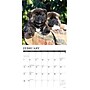 2027 Willow Creek Akitas 12" x 12" Monthly Wall Calendar, Assorted Colors (58664)~#|#~D862677D-BC42-454E-84C4C675259D6668_sc7