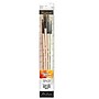 Daler-Rowney Simply Simmons Long Handle Oil and Acrylic Synthetic Brush Set, 4/Set, 2 Sets/Bundle (DRWD255410001-2)~#|#~D88A4FC3-3522-40DF-A376B3B97E51F47E_sc7