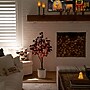 Nearly Natural Pre-Lit Artificial Halloween Black Eucalyptus Tree, 4' (T5221)~#|#~D8BD0964-3CD8-49BE-ABA4FC1C41E0CA30_sc7
