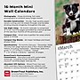 2026 BrownTrout Border Collie Puppies 7" x 7" Monthly Wall Calendar (9798330702534)~#|#~D9029987-D27E-45FE-9C667B116CB43480_sc7
