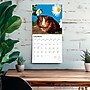 2026 BrownTrout Guinea Pigs 12" x 12" Monthly Wall Calendar (9798330703579)~#|#~D95DB3DC-B718-4FA2-AE3009447E26B6C7_sc7