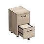Whalen Dulzura 2-Drawer Mobile Vertical File Cabinet, Letter/Legal Size, 29.25"H x 17"W x 20"D, Warm Brown (SPUS-DZMF-LBM)~#|#~D9F9F252-2706-4A3B-BCD6F488B4D9B5BB_sc7
