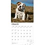2026 BrownTrout Bulldog Puppies 12" x 12" Monthly Wall Calendar (9798330702664)~#|#~DA460493-88FF-44D7-8117E5E29413C871_sc7