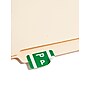 Smead® Alpha-Z Color-Coded Second Letter "P" Labels, 10 Labels Per Sheet, Dark Green, 1"H x 1 5/8"W, 100 Labels/Pk~#|#~DA5FABD4-5EF7-494B-9F29E1D725E21C8E_sc7
