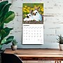 2026 BrownTrout Honey Bunny 12" x 12" Monthly Wall Calendar (9798330703654)~#|#~DA9D5EF5-7C1A-4993-AA6A2F19AF3A04EA_sc7