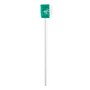 Medline Dentips Oral Swabsticks, Green, Treated, 10/Pack (MDS096504H)~#|#~DAD78CA5-E6F1-433B-B6599600DB39EDE6_sc7