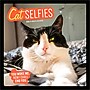 2026 BrownTrout Cat Selfies 12" x 12" Monthly Wall Calendar (9798330702794)~#|#~DB6662D3-9413-4F35-B43208678644A7A8_sc7