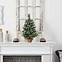 Nearly Natural Snow Tipped Pine and Berry Artificial Christmas Tree, 2' (T3326)~#|#~DB7E3998-C69F-42C5-9FCDA736564E50A8_sc7