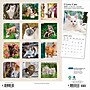 2026 Plato I Love Cats 12" x 12" Monthly Wall Calendar (9798330706808)~#|#~DC09E046-8D95-4E8A-AB84A56CC94BCE2B_sc7