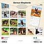 2026 BrownTrout German Shepherds 12" x 12" Monthly Wall Calendar (9798330703388)~#|#~DD09C7CF-BF8A-463A-9974A6428E4CFB07_sc7