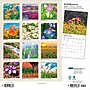 2026 Plato Wildflowers 12" x 12" Monthly Wall Calendar (9798330706662)~#|#~DD24BD14-2EDD-4A9E-92A00F1EB6DFB4AE_sc7