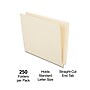 Staples Reinforced End-Tab File Folders, Letter Size, Manila, 250/Box (ST56685-CC)~#|#~DD4B74E5-AC31-4676-A1D3A826849EF6FE_sc7