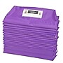 Seat Sack Seat Storage, 9.45" x 8.07" x 10.83", Purple, 25/Pack (15195)~#|#~DDEB1E23-9BF7-4BE7-8C627A794A35F0A4_sc7