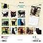 2025 BrownTrout Black Cats 12" x 12" Monthly Wall Calendar (9781975476649)~#|#~DE7AAE71-9316-4116-A914316B91A8FE08_sc7