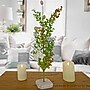 National Tree Company 24" Egg Decorated Easter Tree (EG79-19BY081-1)~#|#~DF164C20-1B16-465C-89E22F9EE81D2D68_sc7