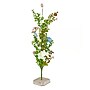 National Tree Company 24" Egg Decorated Easter Tree (EG79-19BY081-1)~#|#~DFBC196E-7768-4A58-BA092D3EFD6F4FD6_sc7